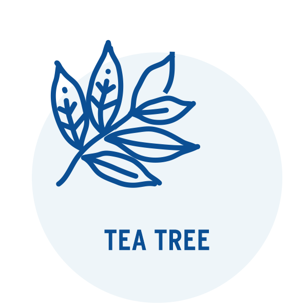 Teafa