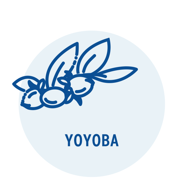 Jojoba